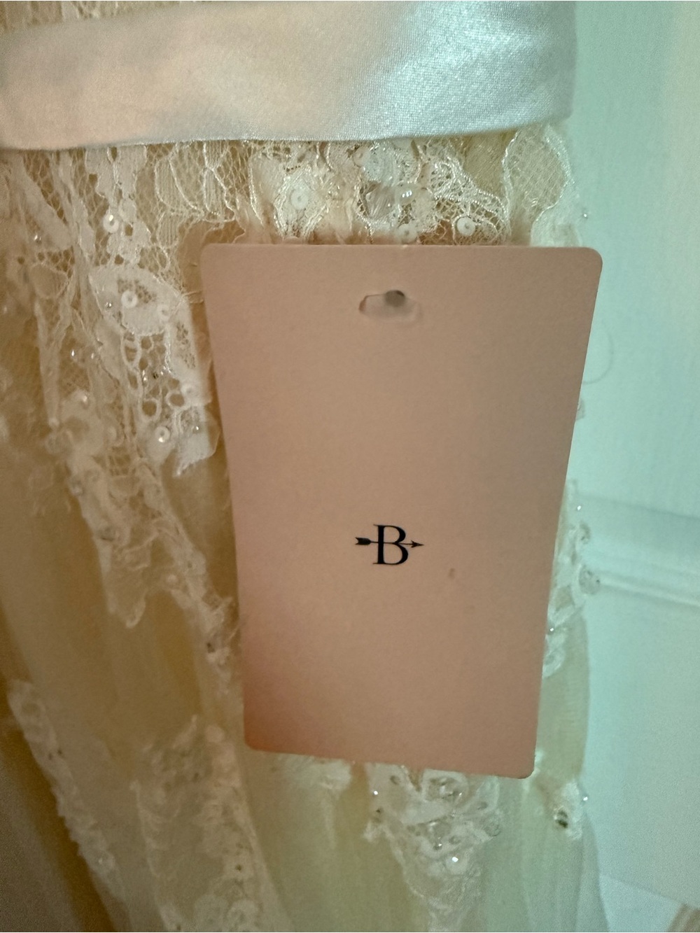 BHLDN Ivory and Champagne Lace A-Line Wedding Gown - Picture 9 of 10